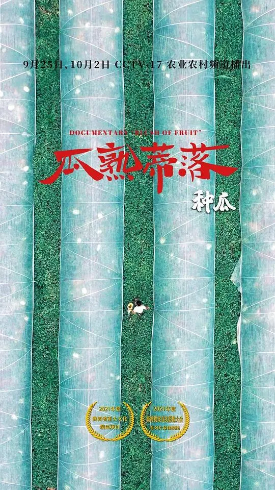 瓜熟蒂落：一部探索爱情成熟与人生真谛的感人佳作，让你重新审视情感旅程